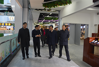 两江新区领导调研重点企业重点区域的开发建设